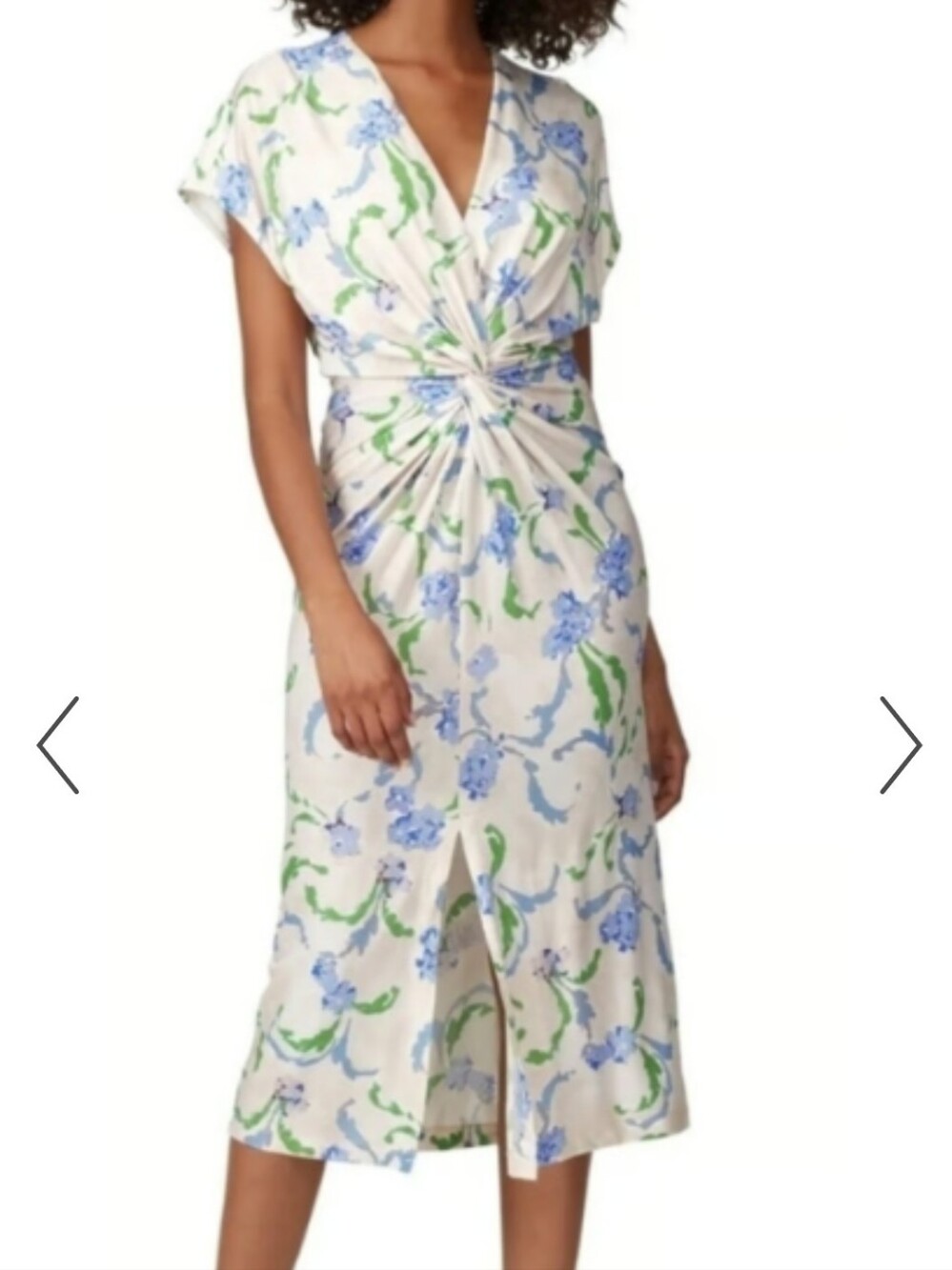 Prabal Gurung Cream Midi Dress with Blue Floral and Green Vine Print Size 4